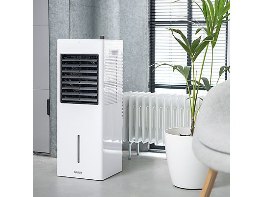 DUUX Flow Air Cooler