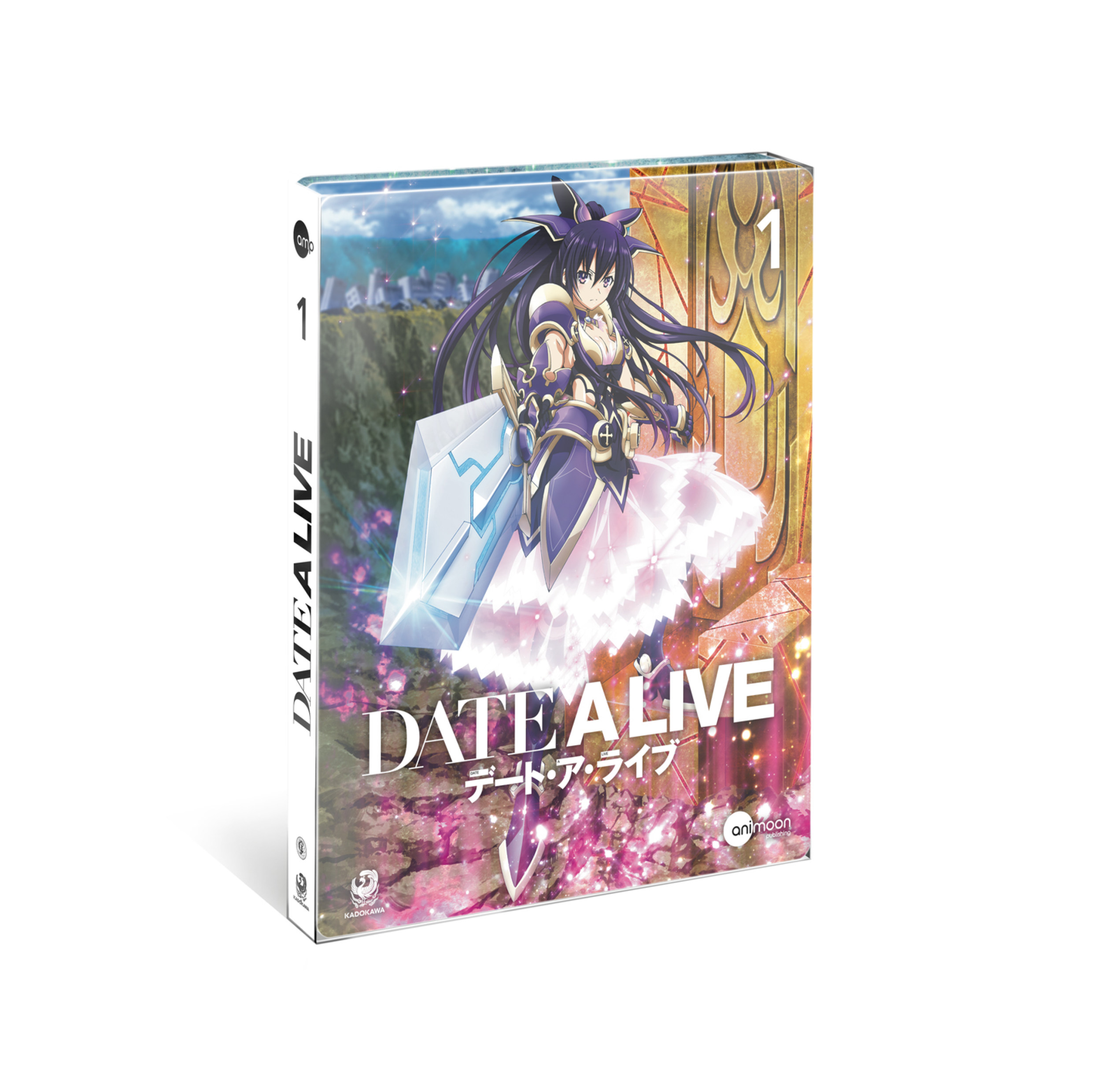 Anime-DVD-Box-Set. Das Cover zeigt einen Anime-Charakter mit Schwert.