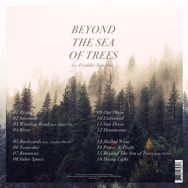 Freddie Joachim - Beyond The Sea Of Trees (2LP+MP3)  - (LP + Download)