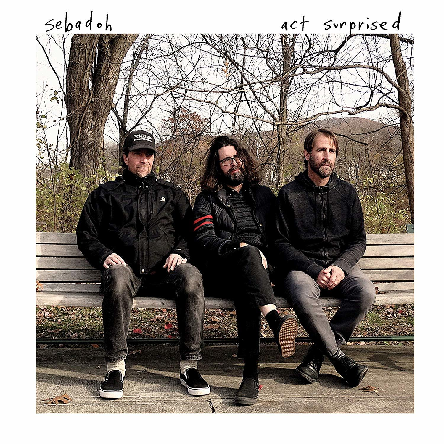Sebadoh - Act Surprised  - (Vinyl)