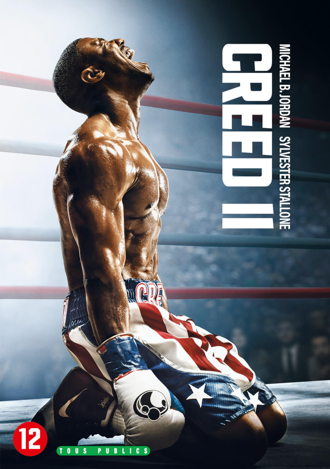 Affiche du film Creed II. Un homme musclé torse nu s'agenouille sur un ring de boxe, regardant en l'air et criant.