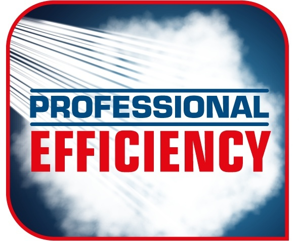 Bild zeigt Text: PROFESSIONAL EFFICIENCY, mit weißen Strahlen auf blauem Hintergrund.
