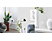 TP-LINK HS100 Wi-Fi Smart Plug