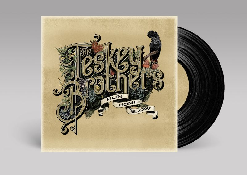Vinyl-Schallplatten-Albumcover mit dem Titel „The Teskey Brothers“ und einer Vogelgrafik.