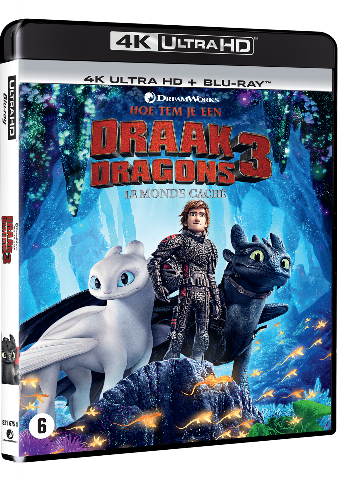 Couverture DVD du film 'Dragons 3', avec des personnages et le titre.