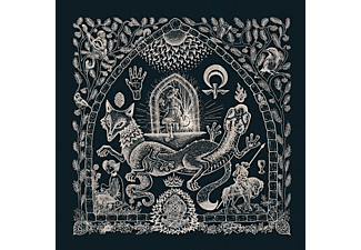 Petrels - The Dusk Loom  - (Vinyl)