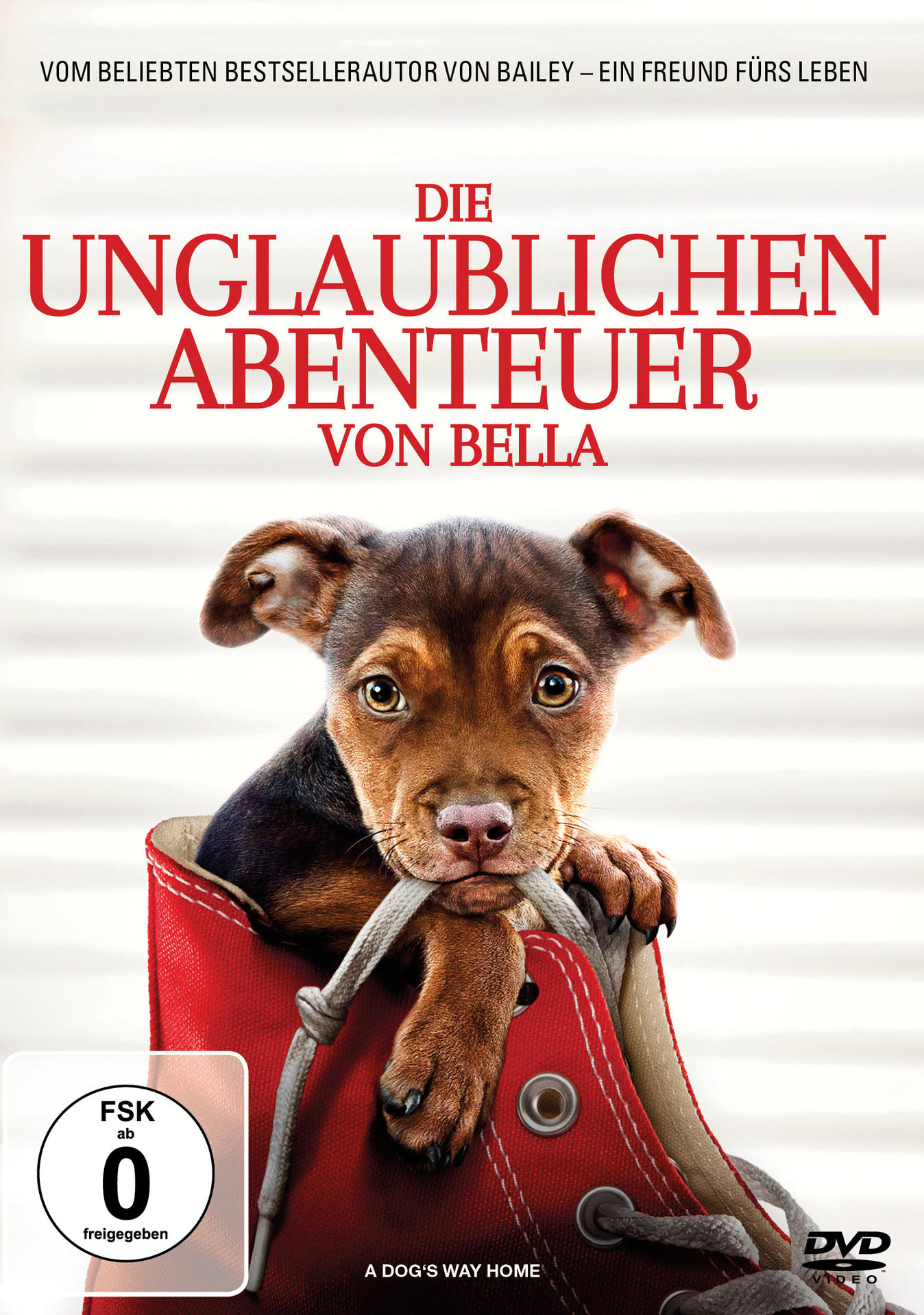 Filmposter, ein Welpe in einem roten Schuh mit dem Titel 'A Dog's Way Home'.