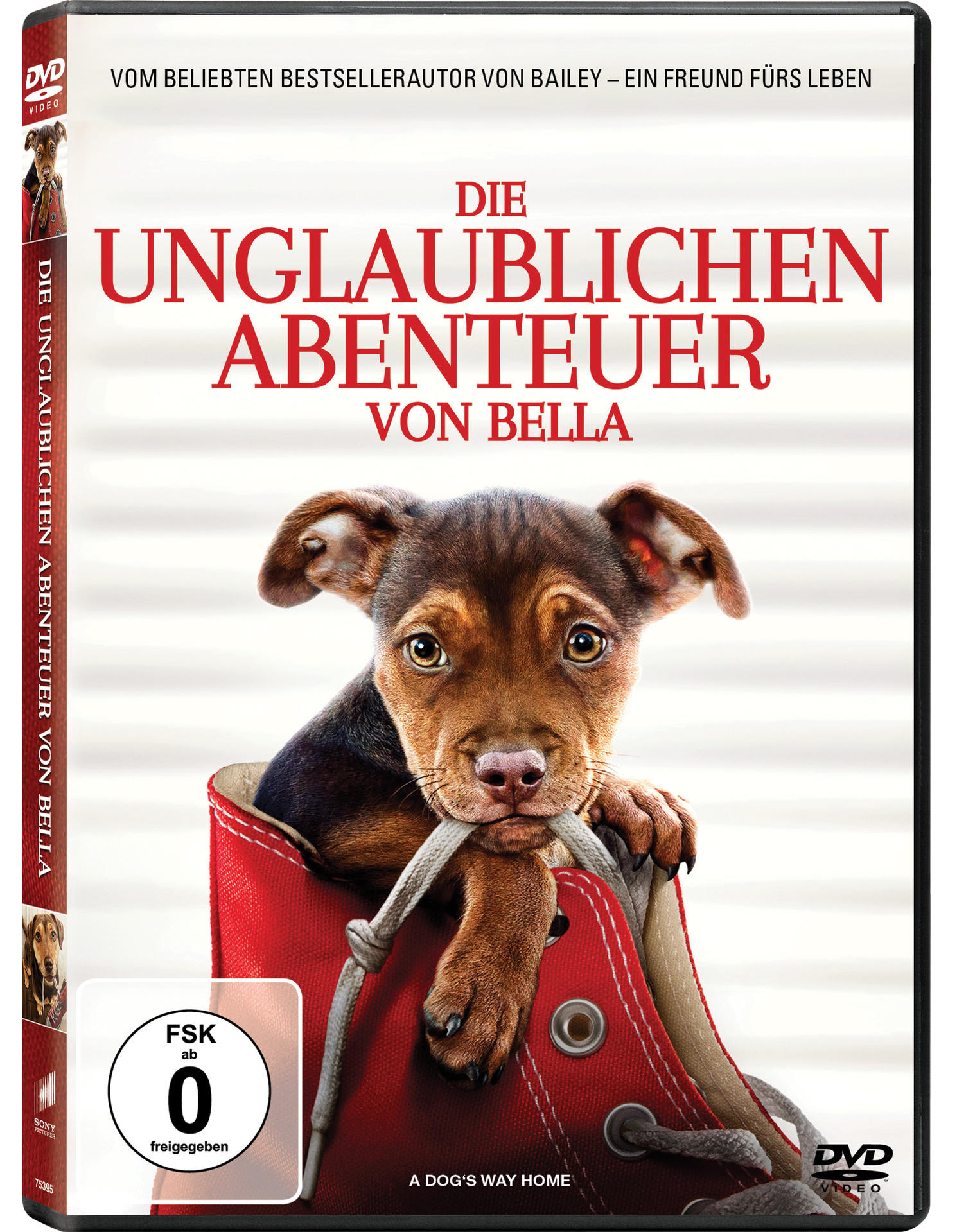 Ein DVD-Cover mit einem Hund in einem roten Schuh. Der Titel lautet 'Die Unglaublichen Abenteuer von Bella'.