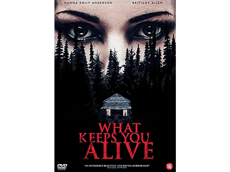 what-keeps-you-alive-dvd-mediamarkt