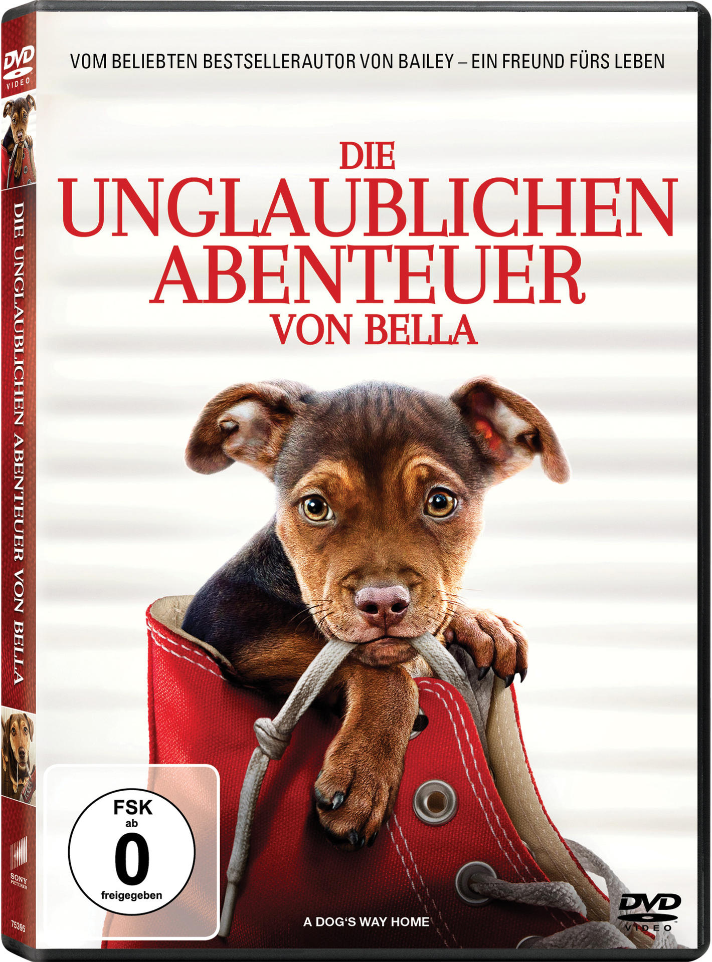 DVD-Hülle mit einem braunen Welpen in einem roten Schuh. Text auf dem Cover. Der Hintergrund ist weiß.