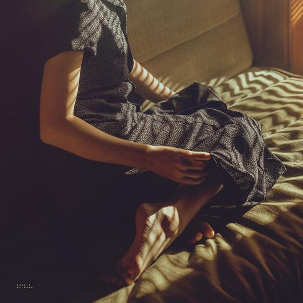 (Heavyweight Weather (Vinyl) - Tycho LP+MP3) -