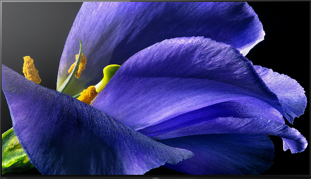 SONY KD-55AG9 - TV (55 ", UHD 4K, OLED)