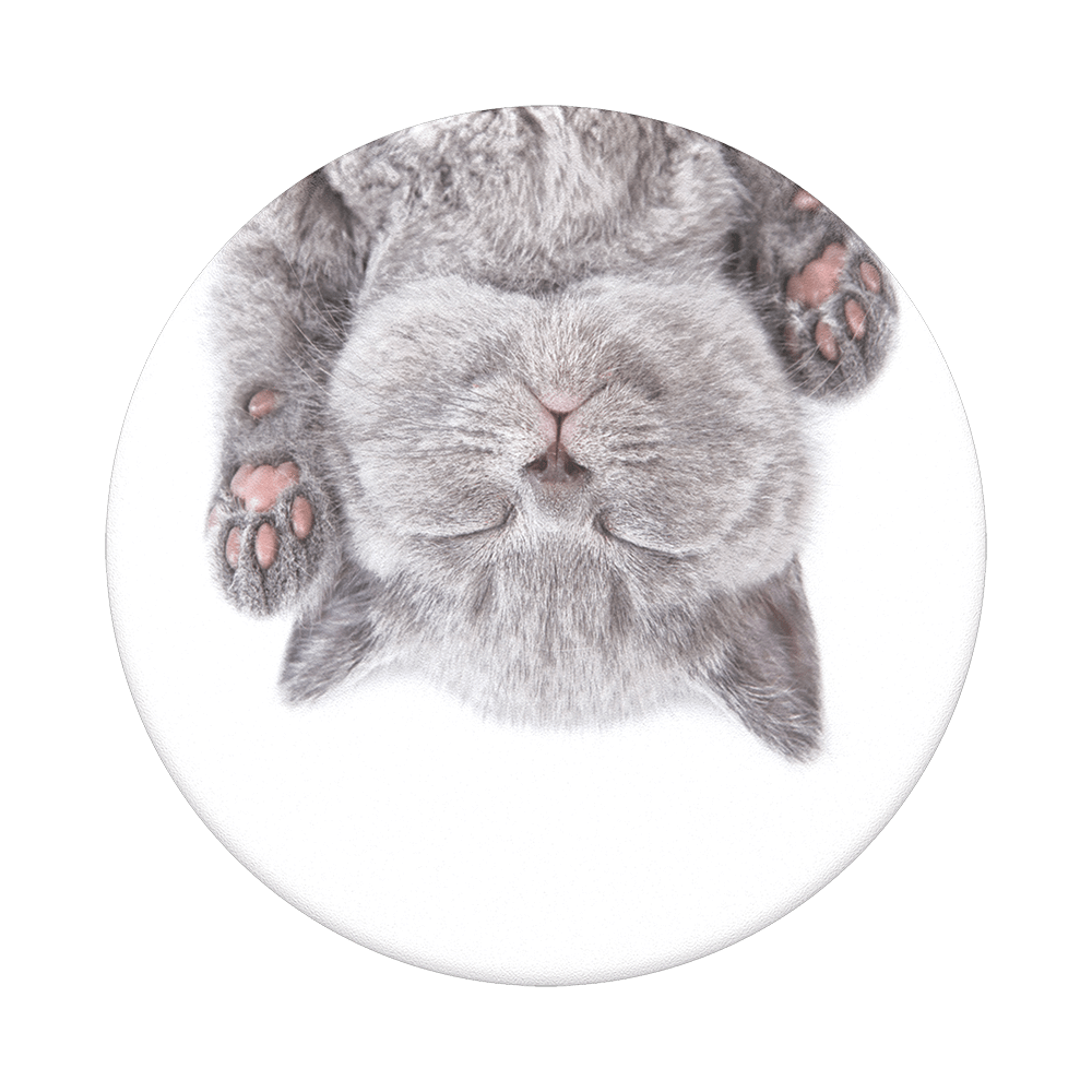 Eine graue Katze liegt kopfüber mit geschlossenen Augen, rosa Pfotenballen sichtbar.