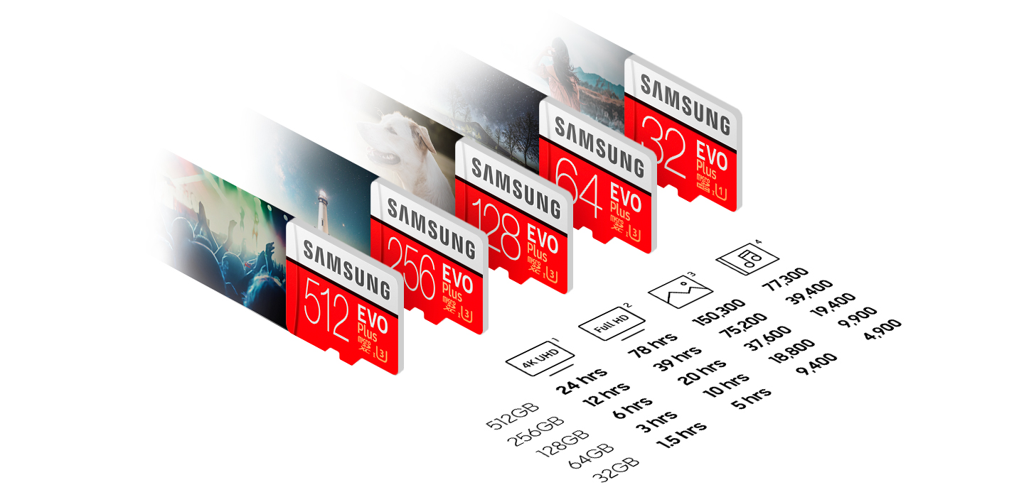 SAMSUNG Evo Plus, Micro-SDXC Speicherkarte, 64 GB, 100 MB/s
