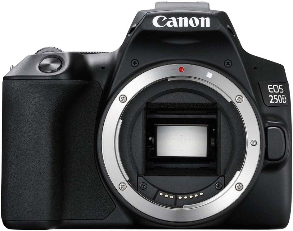 Schwarzer Canon EOS 250D Kamerabody, Vorderansicht. Objektivanschluss und interne Komponenten sind sichtbar.