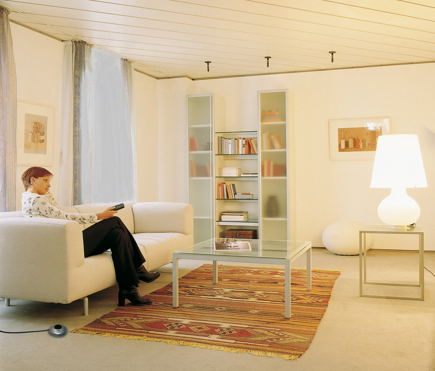 Wohnzimmer mit einer Frau auf einem Sofa, die eine Fernbedienung hält. Tisch und Bücherregale. Helles Farbschema.