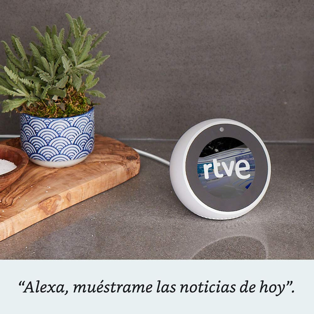 Dispositivo doméstico inteligente con pantalla que muestra noticias. Planta y maceta decorativa.