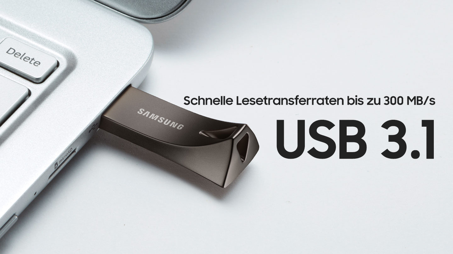 SAMSUNG Flash Drive BAR Plus USB-Stick, 256 GB, 300 MB/s, Champagner Silver