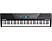 ALESIS Recital Pro - Digital-Piano (Schwarz)