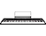 ALESIS Recital - Piano digitale (Nero)