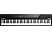 ALESIS Recital - Piano digitale (Nero)
