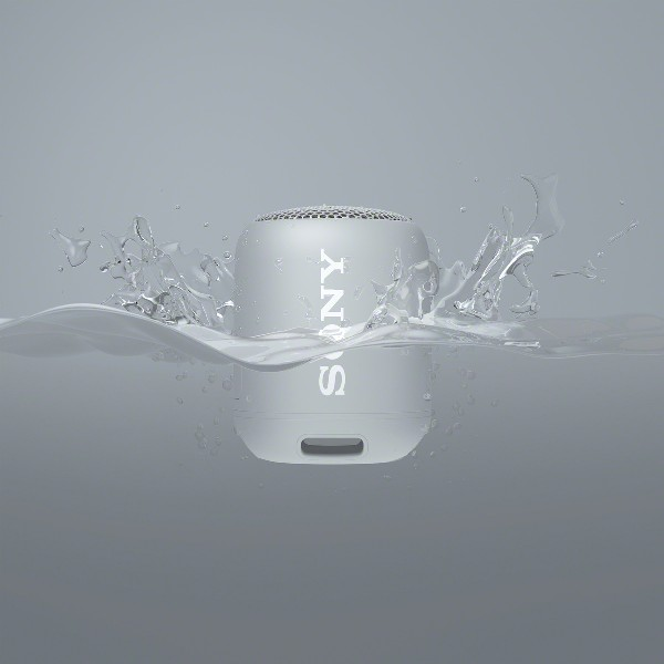 Altavoz inalámbrico - Sony SRS-XB12H, EXTRA BASS, Bluetooth, Autonomía 16 horas, IP67, Gris