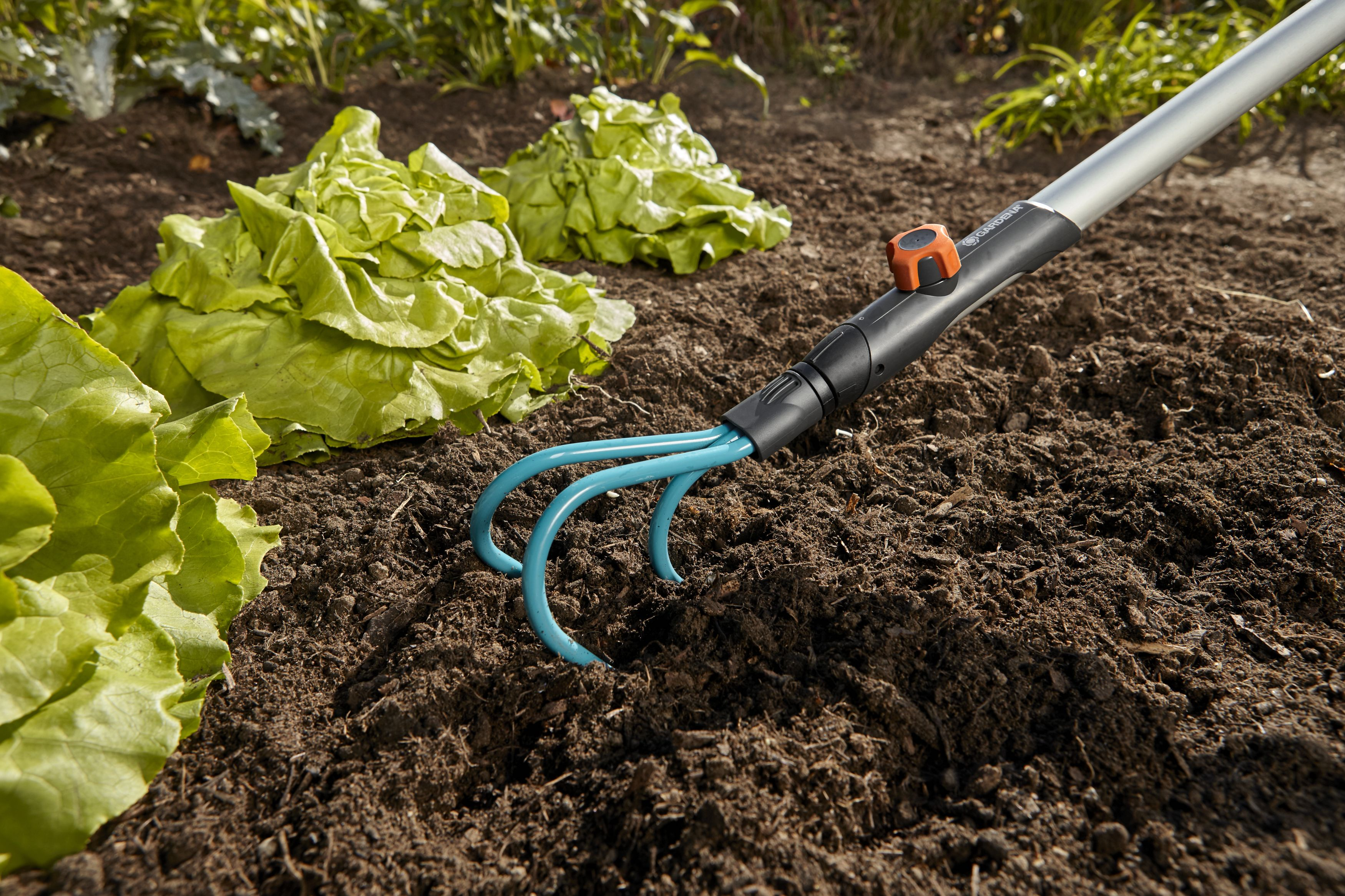 GARDENA 3166-20 Grubber Türkis