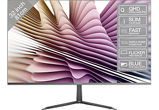 PEAQ PMO S320-IQC - Monitor, 31.5 ", QHD, 60 Hz, Gun-Metal/Schwarz