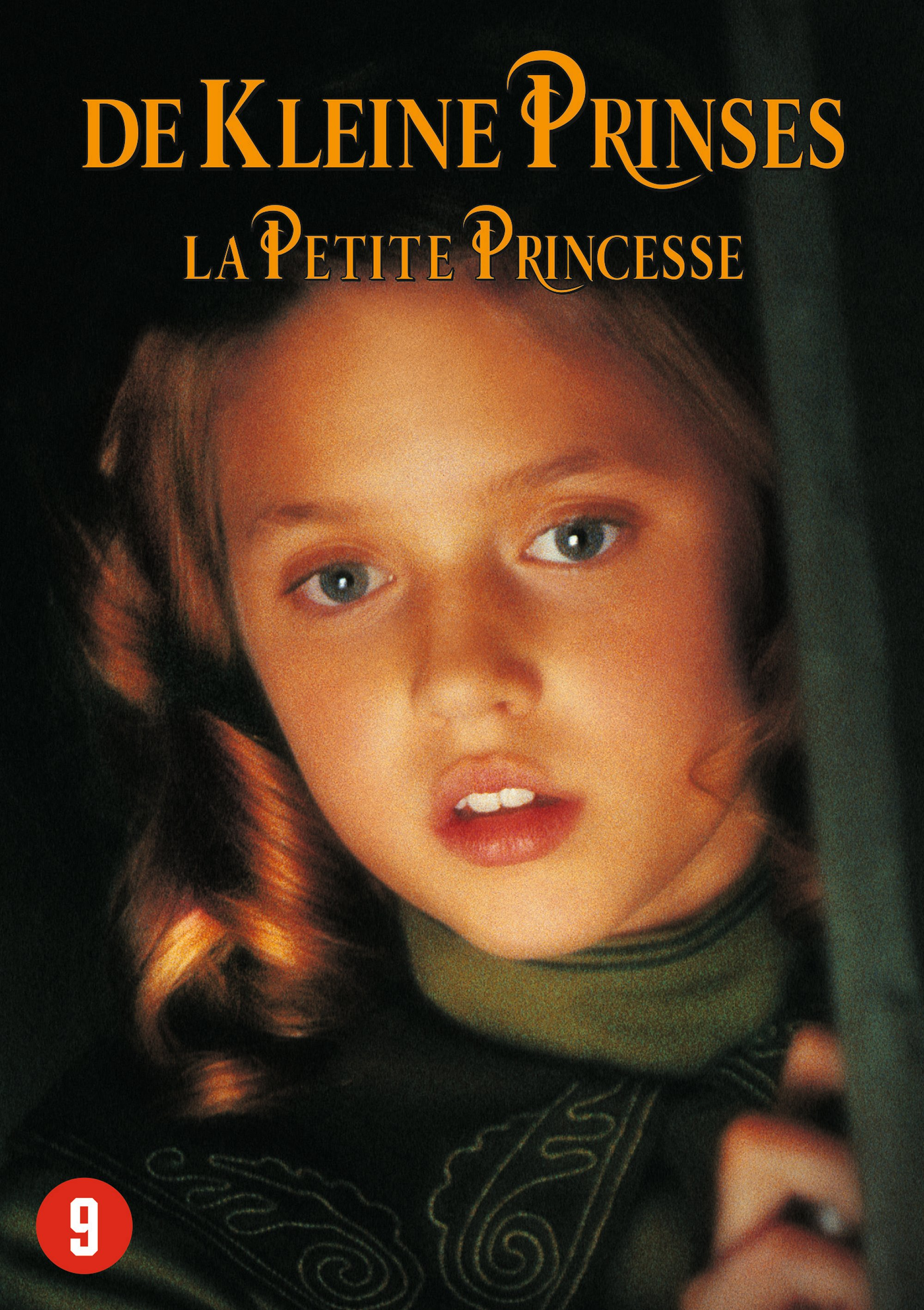 De Kleine Prinses - DVD