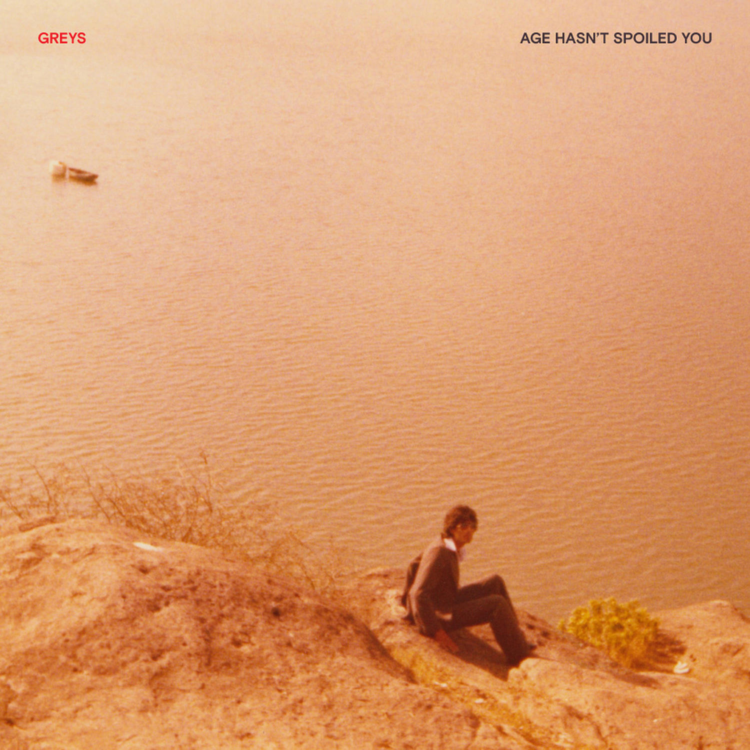 Greys - Age Hasn't Spoiled You  - (CD)
