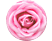 POPSOCKETS 800950 Rose All Day - Maniglia e supporto del telefono (Rosa)