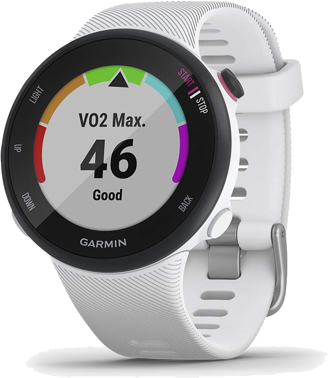 GARMIN Montre GPS Forerunner 45S Blanc (010-02156-10)