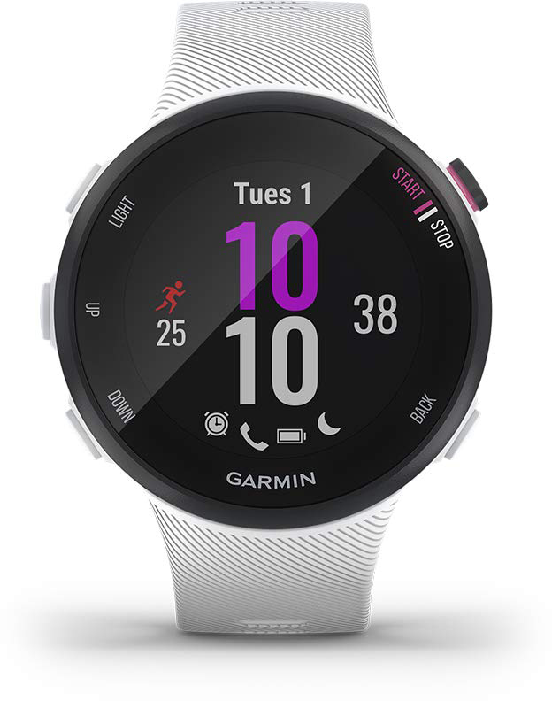 GARMIN Montre GPS Forerunner 45S Blanc (010-02156-10)