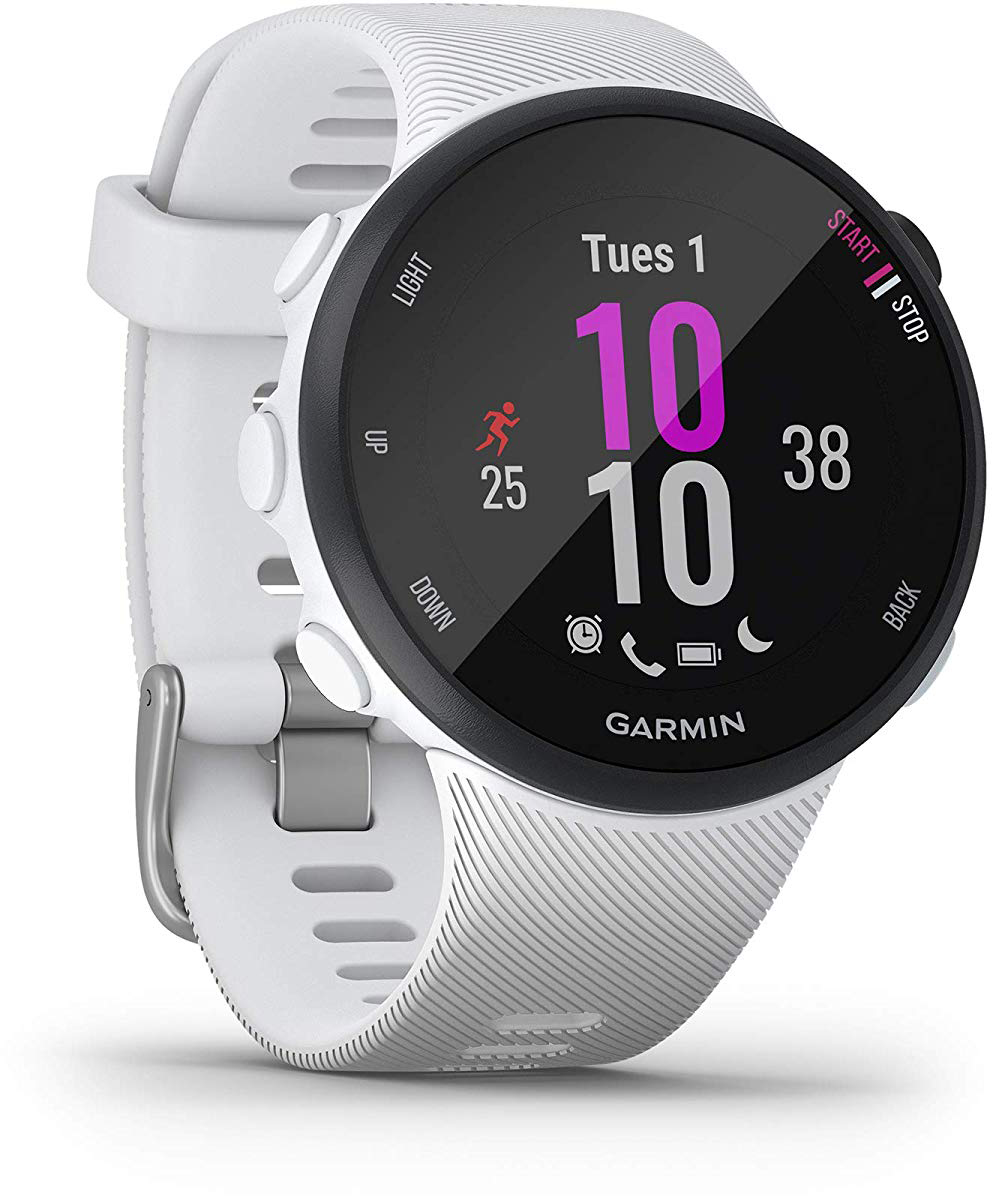GARMIN Montre GPS Forerunner 45S Blanc (010-02156-10)