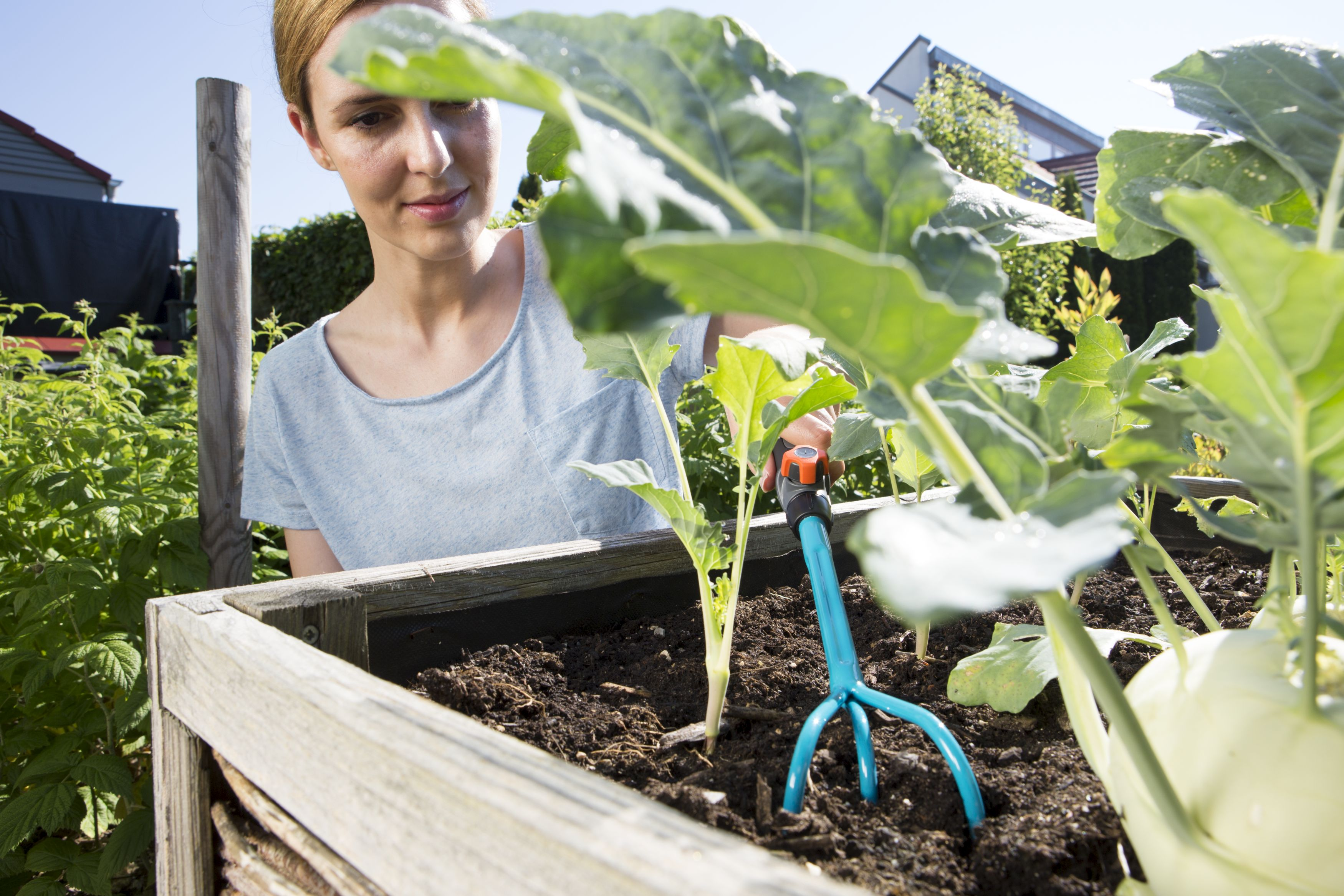 Eine Frau pflegt Pflanzen in einem hölzernen Gartenbeet. Ein blaues Handwerkzeug steckt im Boden.