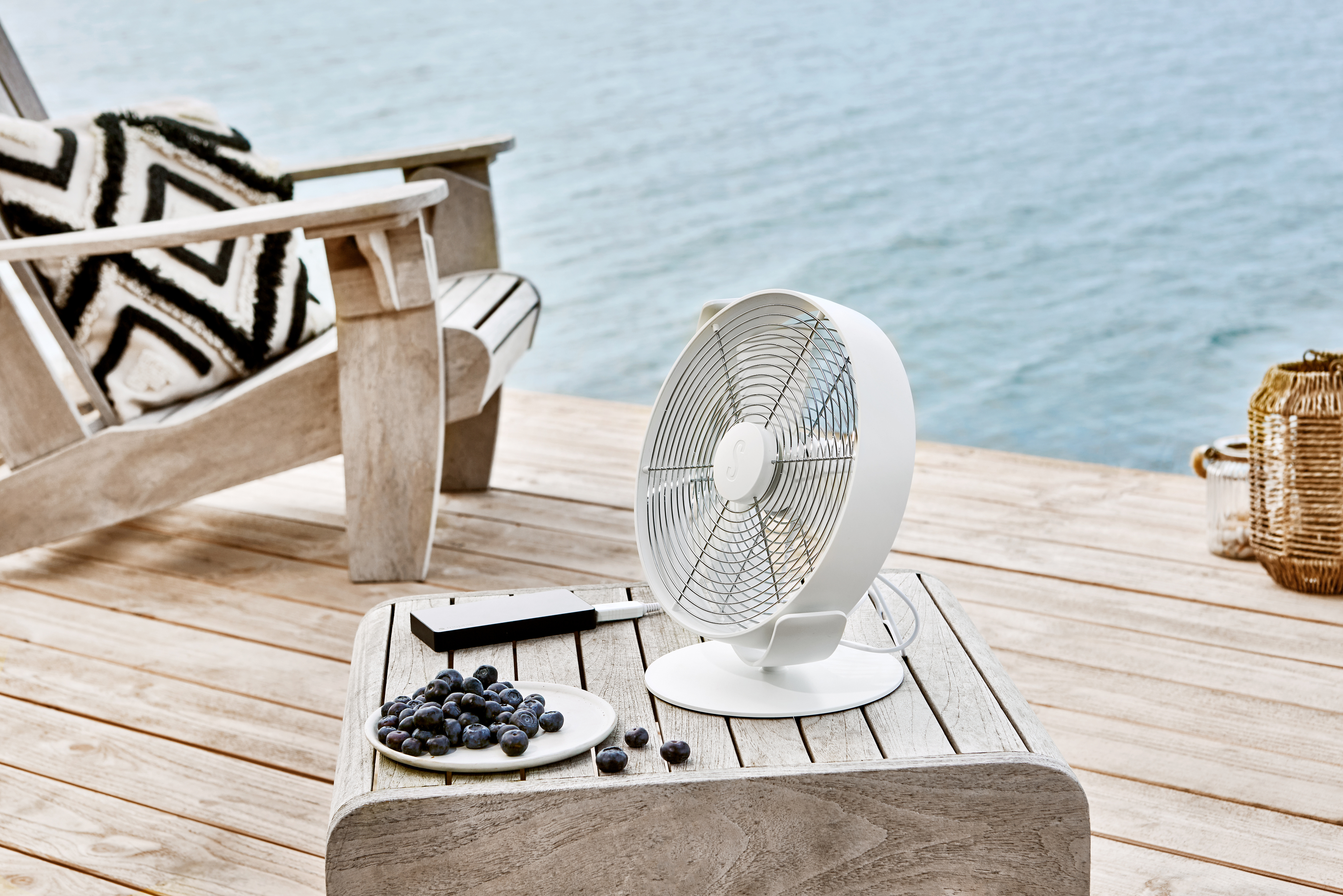 Weißer Ventilator, Tisch mit Blaubeeren und Wasser im Hintergrund.