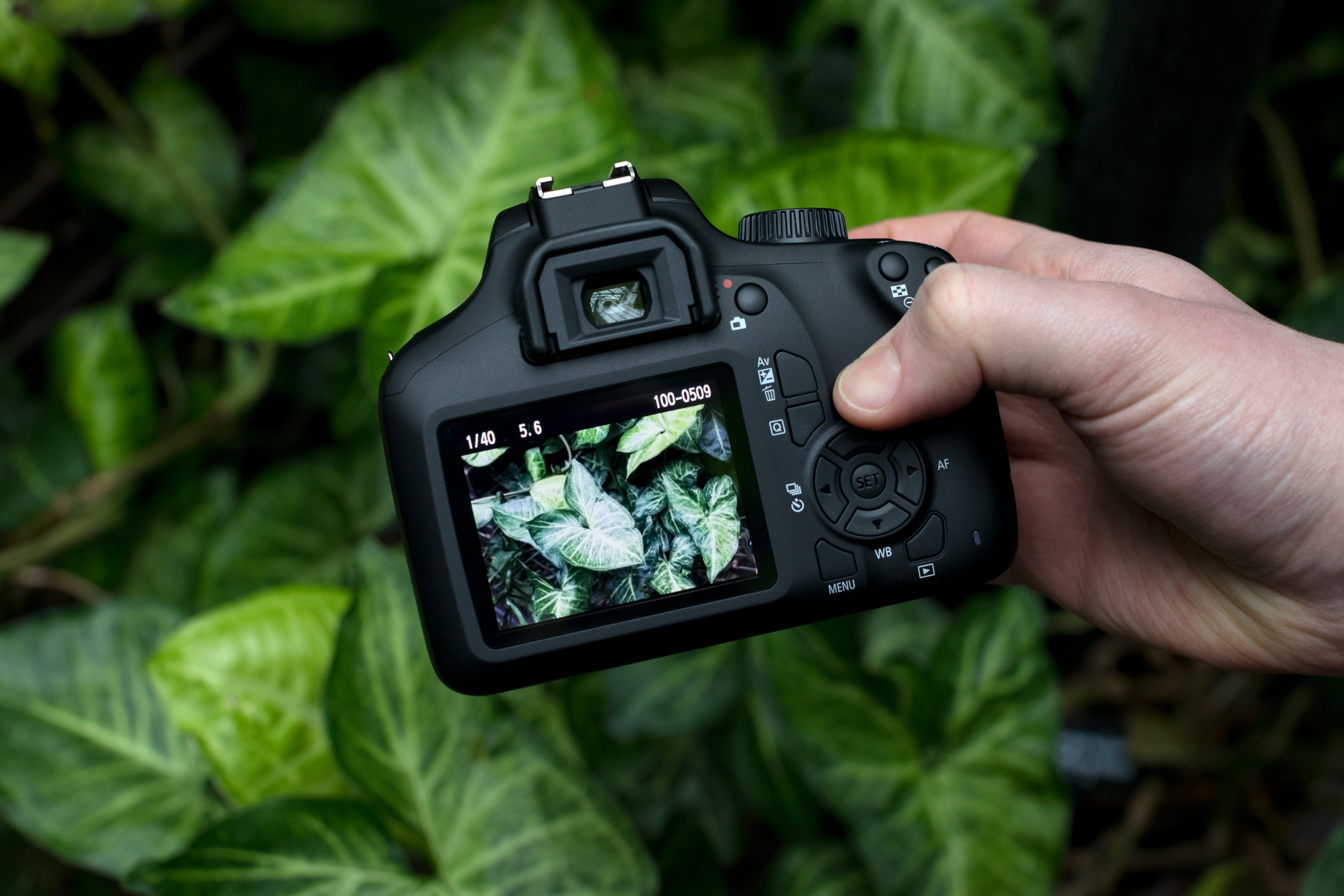 CANON EOS 4000D Kit inkl. Tasche und Speicherkarte Spiegelreflexkamera, 18 Megapixel, 18-55 mm Objektiv (EF-S), WLAN, Schwarz