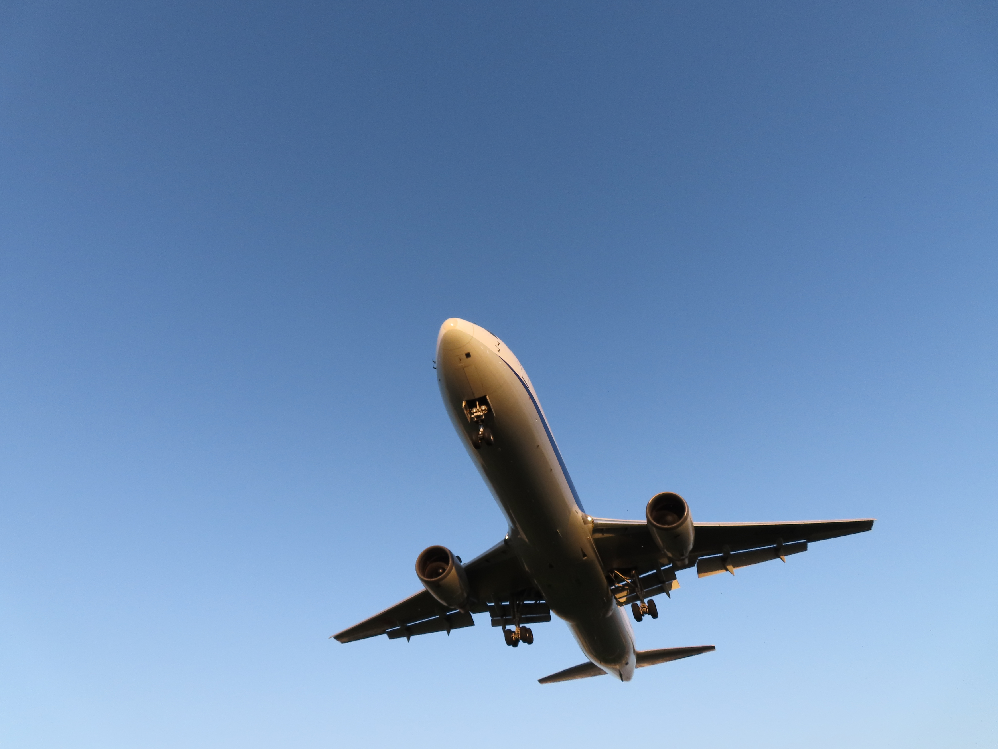 Flugzeug fliegt in klarem, blauem Himmel, aus der Untersicht.