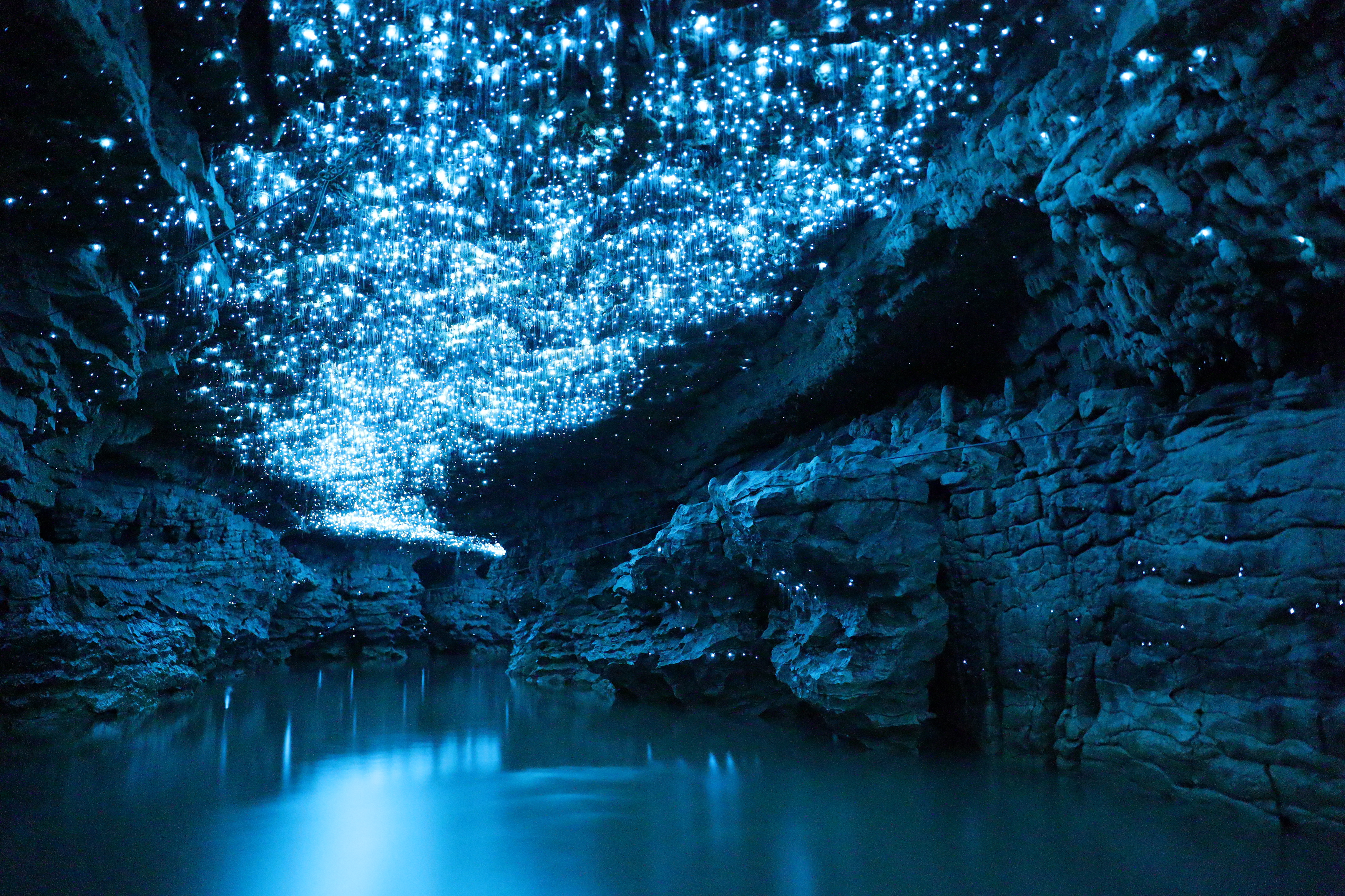 Höhle mit leuchtenden blauen Lichtern an der Decke, die sich in einem dunklen, stillen Gewässer spiegeln.