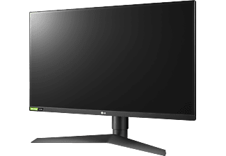LG 27GL850-B UltraGear 27 Zoll WQHD Gaming Monitor (1 ms Reaktionszeit ...