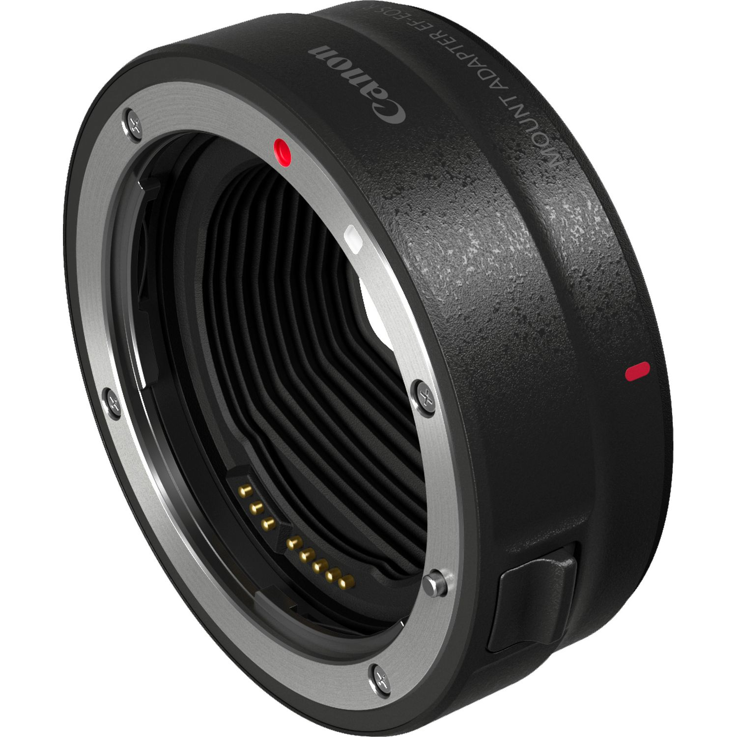 CANON EOS R + EF to RF adapter + RF 24-105mm f/4L IS USM