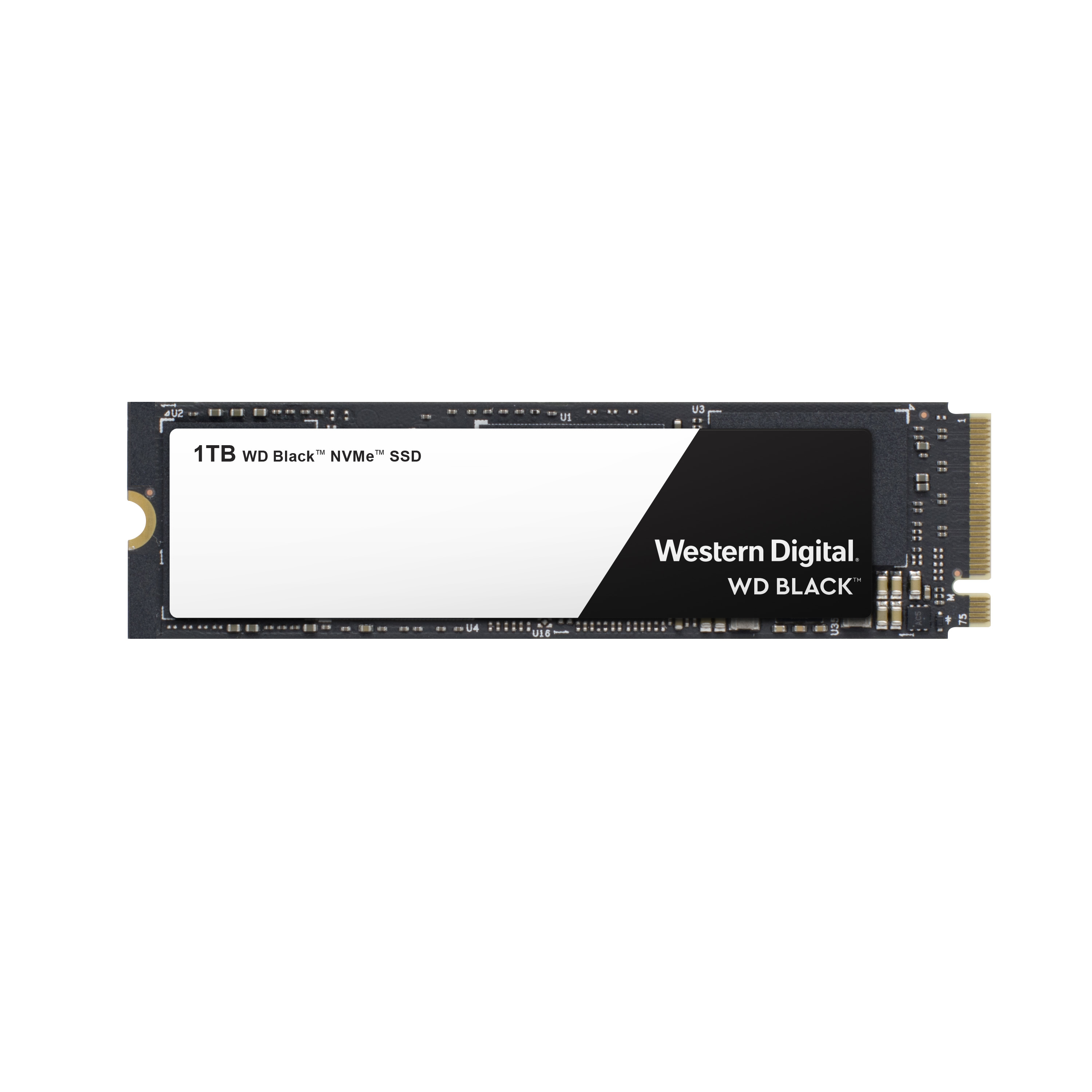 WD WDS100T2X0C
