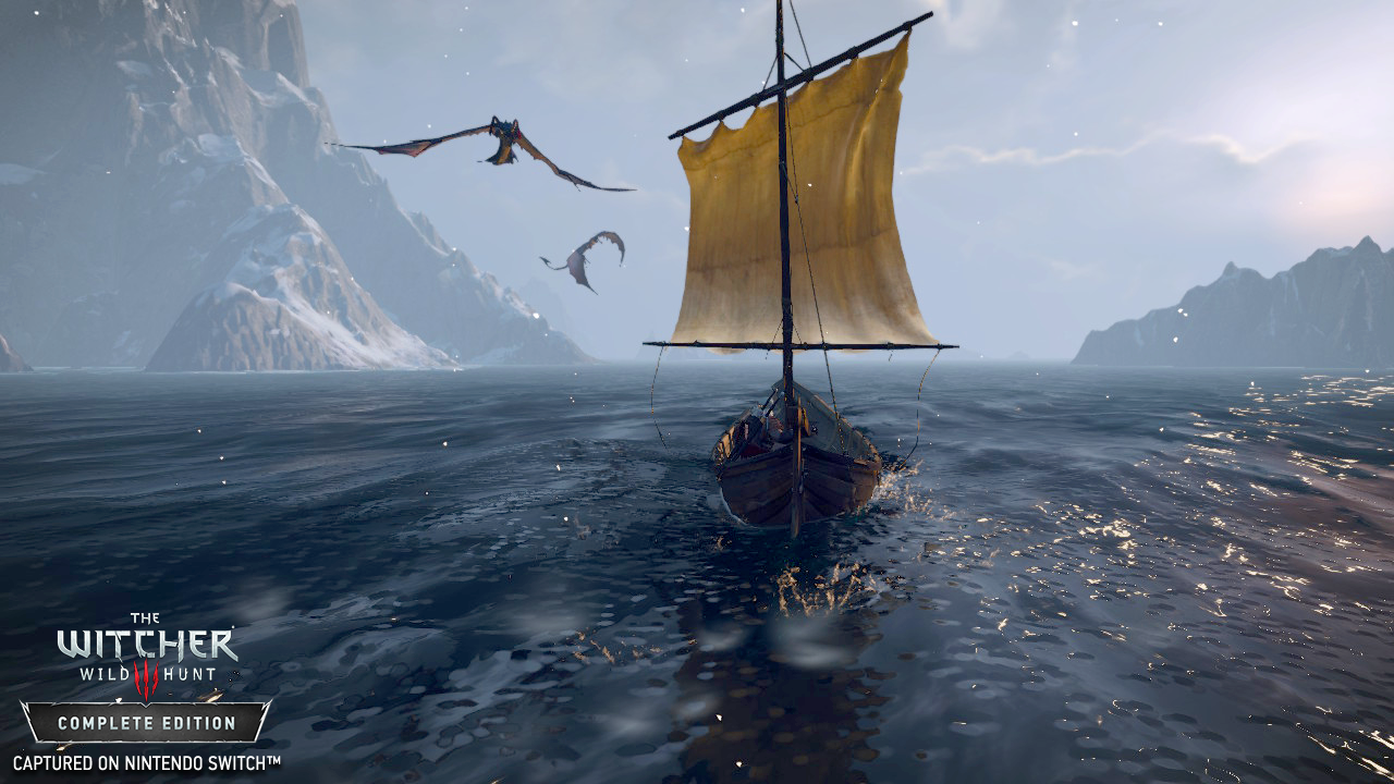 Ein Boot segelt auf dem Wasser, mit schneebedeckten Bergen und Vögeln im Hintergrund. Witcher-Spiel.