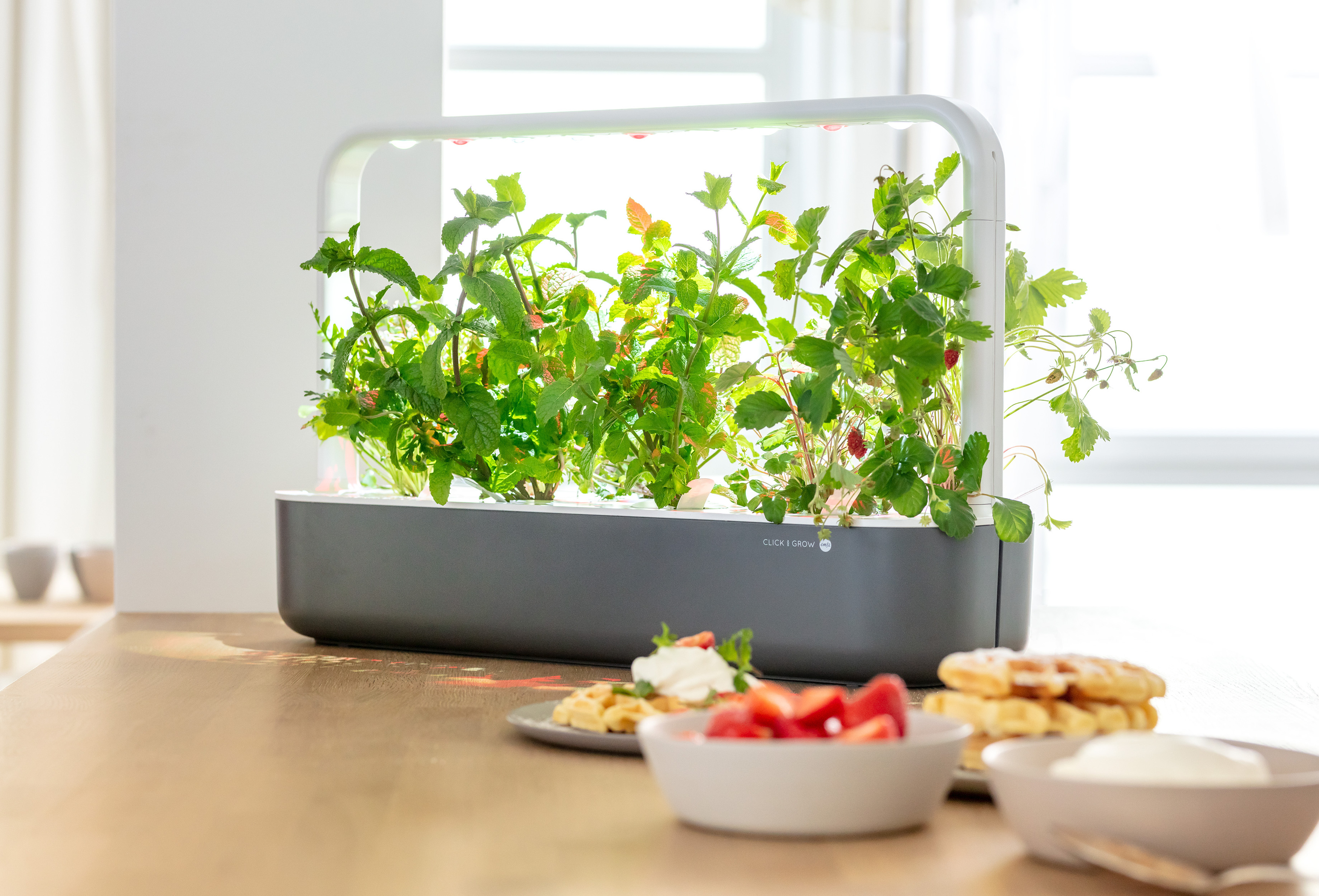 EMSA M5262000 Click & Grow Smart Garden 9 Kräutertopf Grau