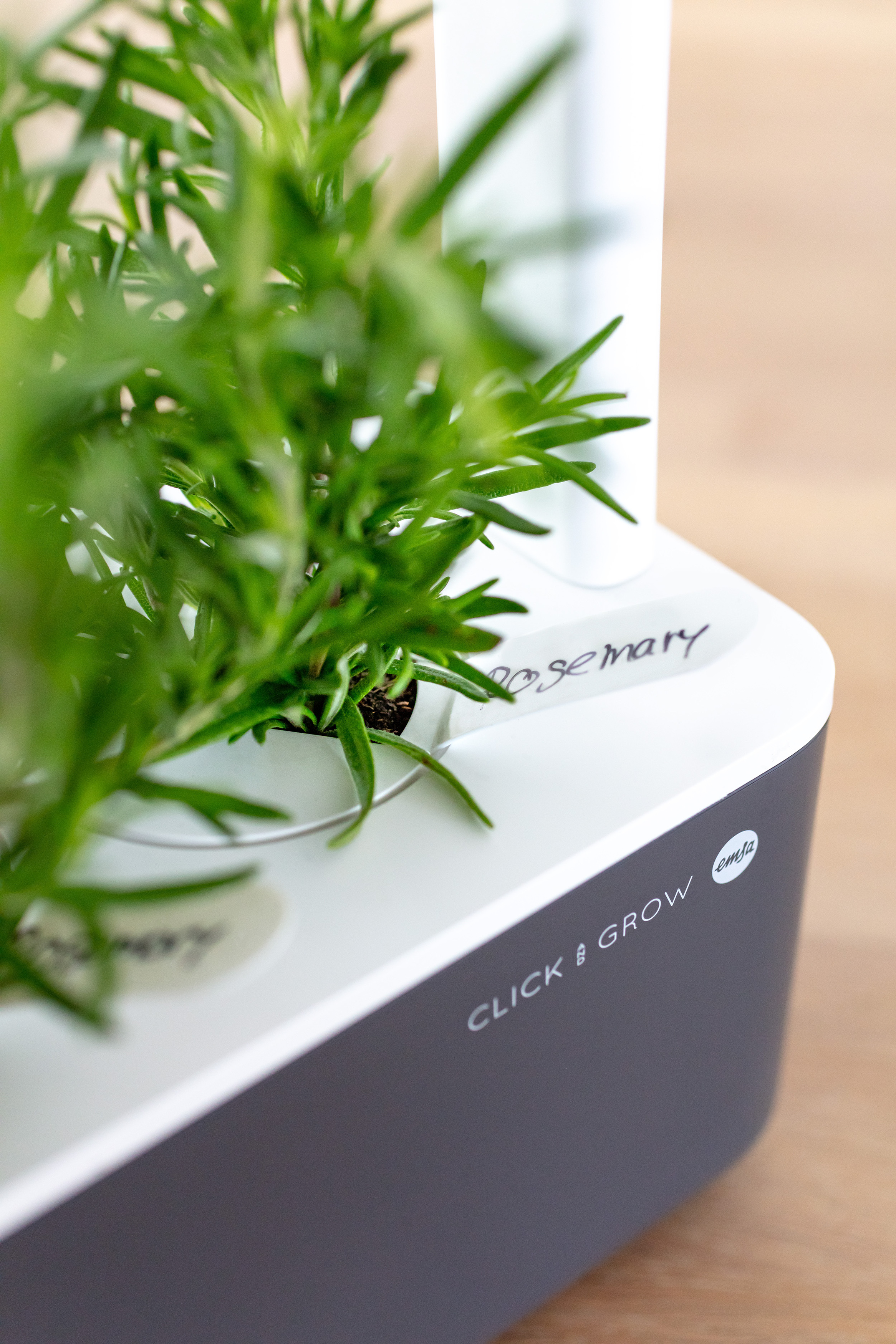 EMSA M5261800 Click & Grow Smart Garden 3 Kräutertopf Grau