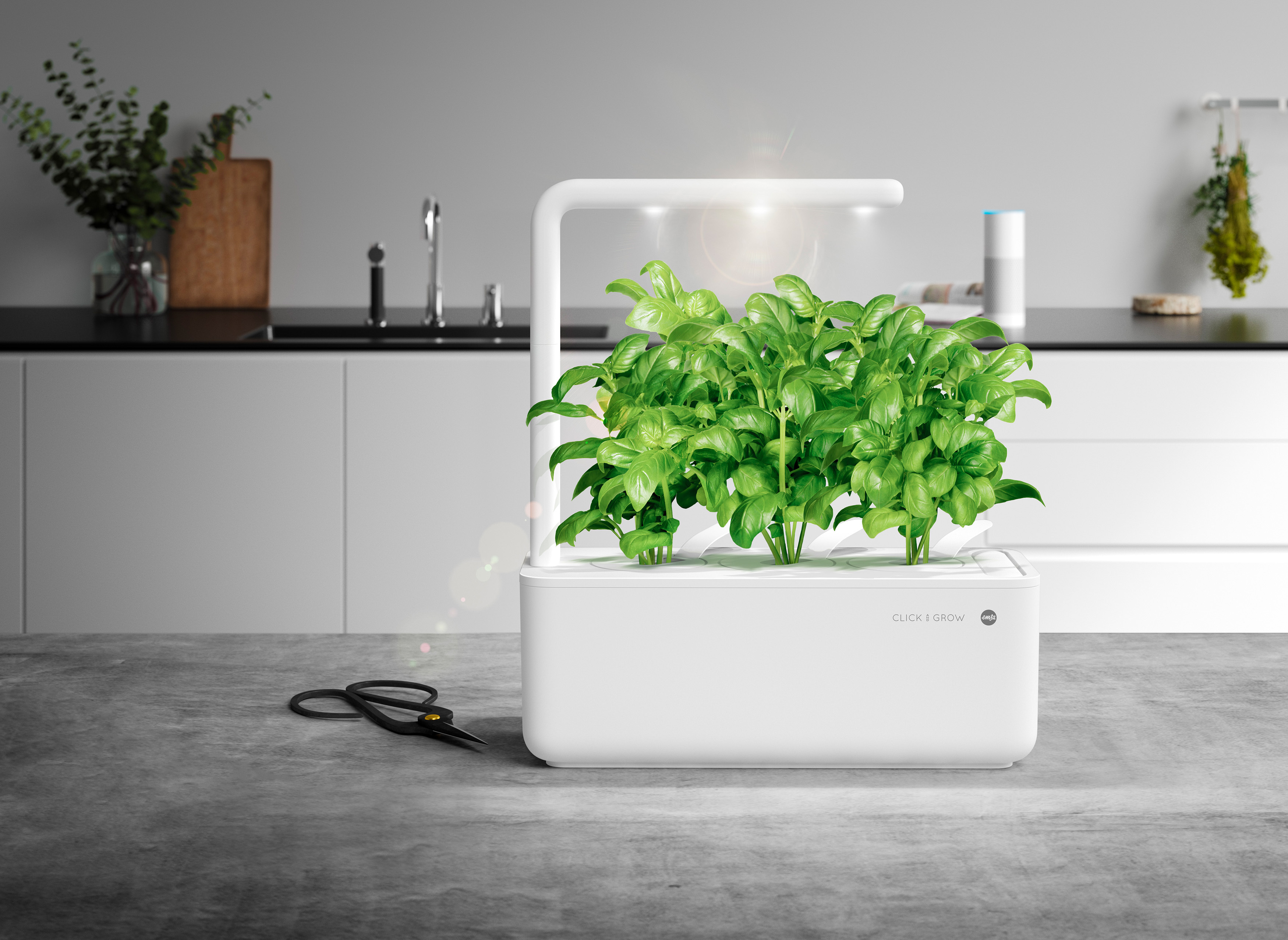 Ein weißer Indoor-Garten mit grünen Pflanzen steht auf einer grauen Oberfläche. Eine Schere liegt daneben. Küche im Hintergrund.