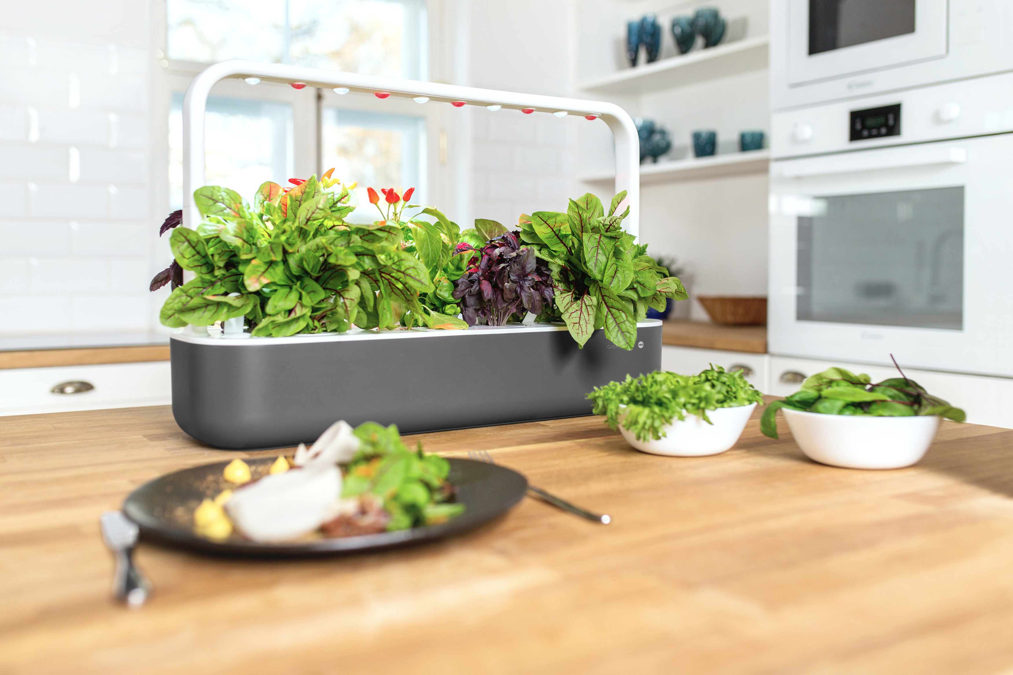 EMSA M5262000 Click & Grow Smart Garden 9 Kräutertopf Grau