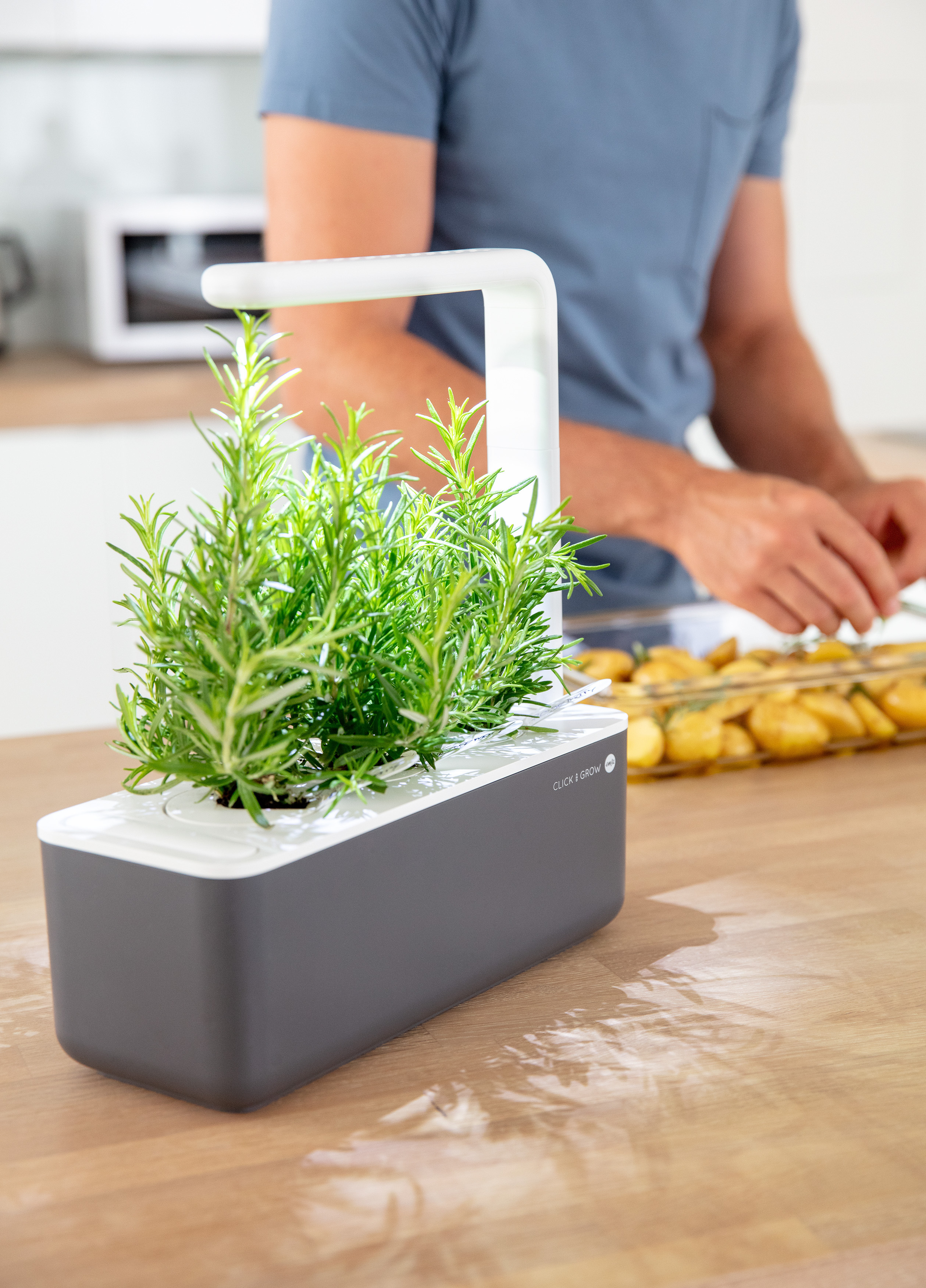 EMSA M5261800 Click & Grow Smart Garden 3 Kräutertopf Grau