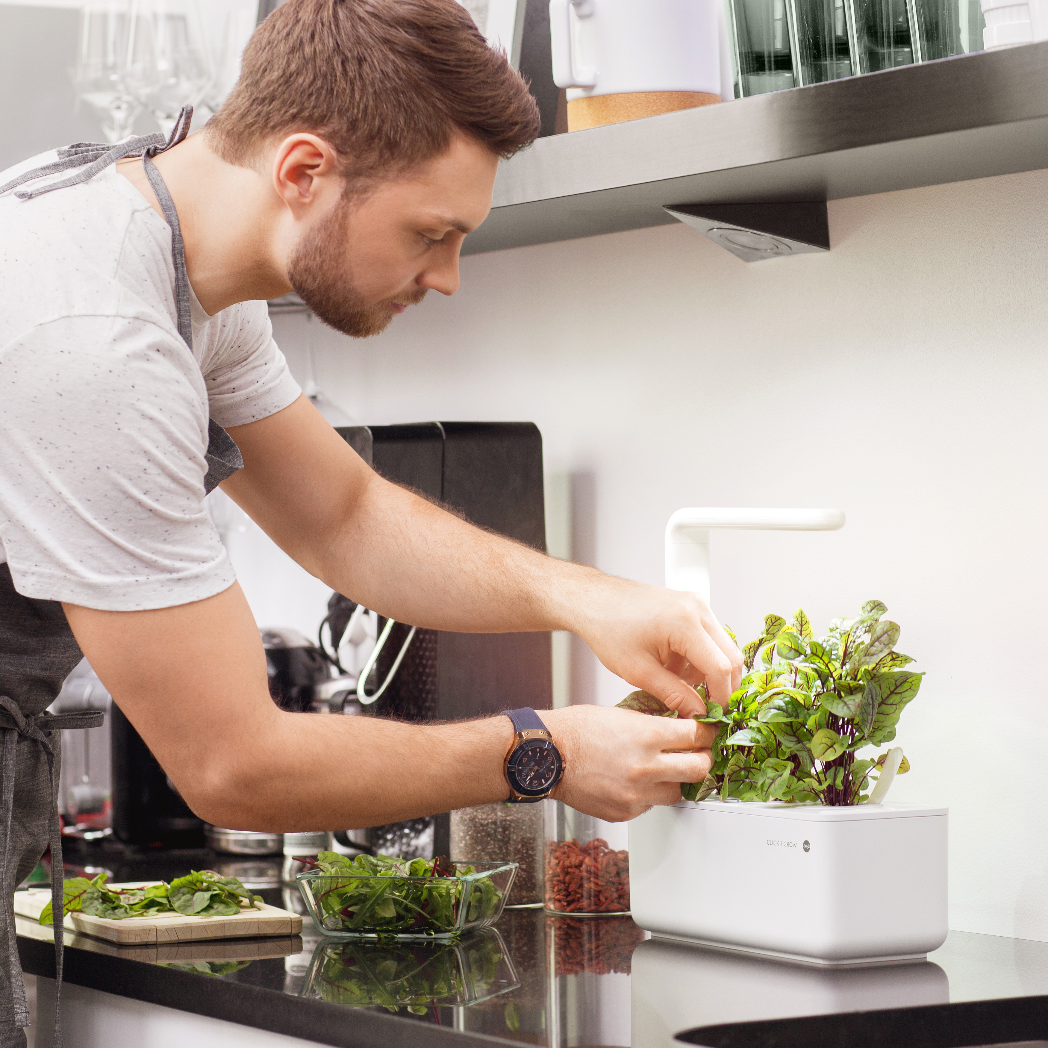 Ein Mann in einer Küche pflegt einen kleinen Indoor-Garten. Frisches Grün wird geerntet. Andere Zutaten sind vorhanden.