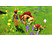 Dragon Quest 11 S : Les Combattants de la destinée – Édition ultime - Nintendo Switch - Français